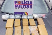 Apreensão de 14 Kg de Drogas em Ribeirão Cascalheira: Dois Presos