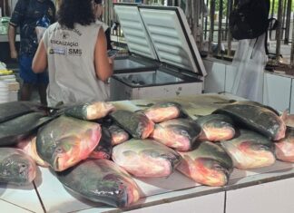 Operação apreende quase meia tonelada de pescado irregular em Cuiabá