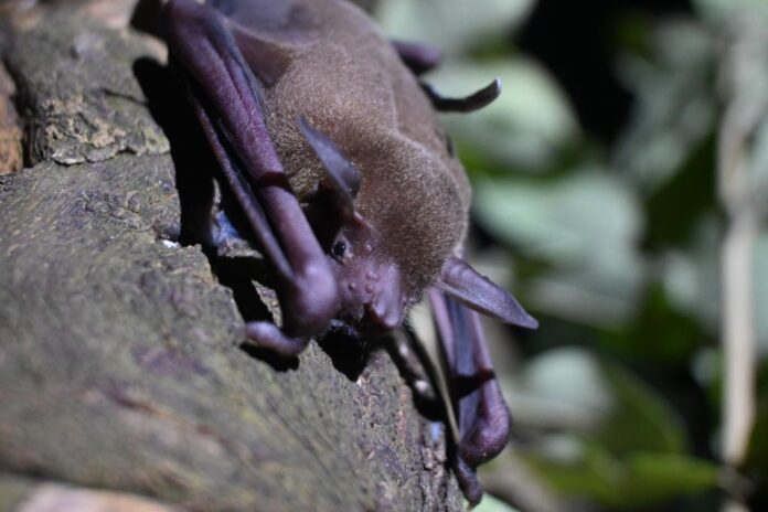 WhatsApp Image 2026-02-24 at 16.58.07