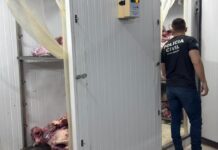 Operação recupera 2 toneladas de carne saqueada após tombamento na MT-235