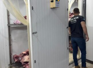 Operação recupera 2 toneladas de carne saqueada após tombamento na MT-235