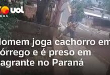 Veja Vídeo – Homem joga cachorro em córrego e é preso em flagrante no Paraná; veja