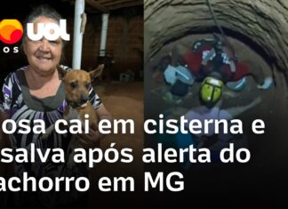 Veja Vídeo – Cachorro ‘chama por ajuda’ para salvar idosa que caiu em cisterna em MG; veja