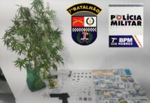 PM de Nobres prende jovem de 21 anos e apreende mudas de maconha e drogas sintéticas
