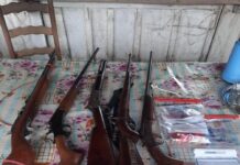 Operação Marias apreende armas e prende foragido por violência doméstica