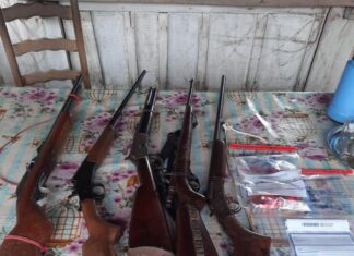 Operação Marias apreende armas e prende foragido por violência doméstica