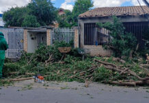 Prefeitura intensifica limpeza após temporal em Várzea Grande