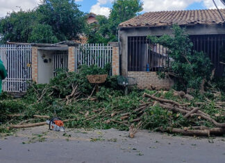 Prefeitura intensifica limpeza após temporal em Várzea Grande
