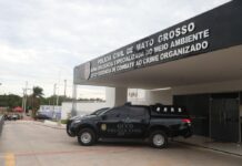 Operação Joio mira grupo que desviou R$ 1,1 milhão em cargas de soja em MT