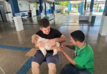 Cuiabá intensifica combate à raiva e leishmaniose com reforço na vacinação e monitoramento