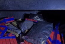 Vídeo: Operação apreende mais de 335 kg de drogas em Mato Grosso