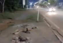 Vídeo: Passageiros sofrem sem cobertura em pontos de ônibus na Av. Júlio Campos em VG