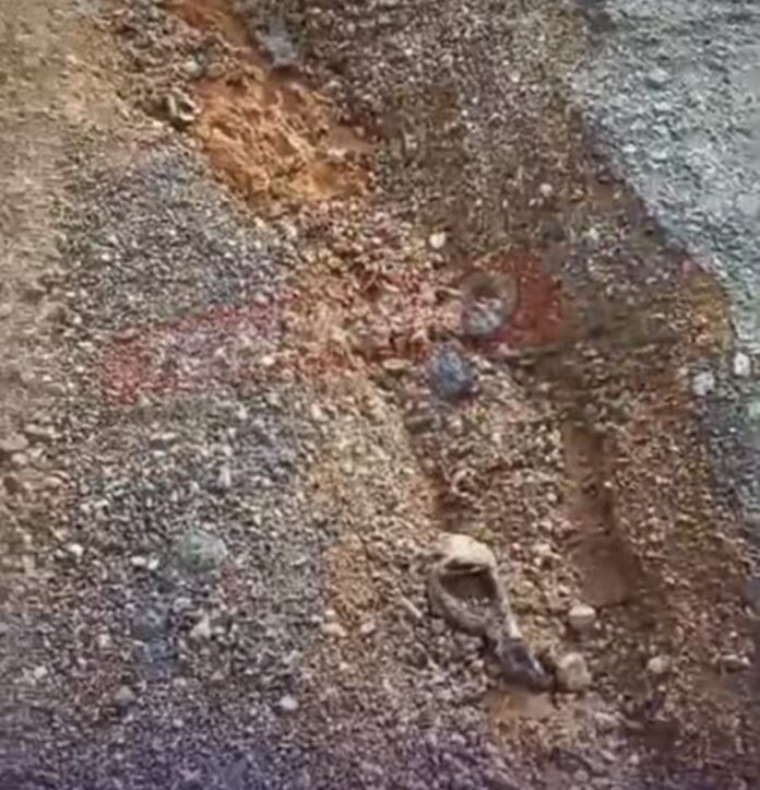 Screenshot_20260316_080319_Instagram