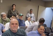 Vídeo: Pantanal enfrenta risco de colapso hídrico, alertam especialistas