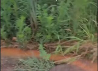 Vídeo: Esgoto a céu aberto e bueiros vazando revoltam moradora em Várzea Grande