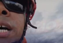 Vídeo: Onça-pintada é resgatada de conduto em usina de MT