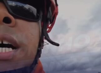 Vídeo: Onça-pintada é resgatada de conduto em usina de MT