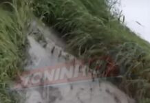 Vídeo: Denúncia aponta possíveis irregularidades ambientais em confinamento em Colíder