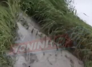 Vídeo: Denúncia aponta possíveis irregularidades ambientais em confinamento em Colíder