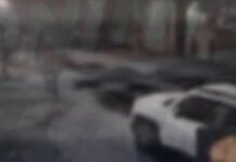 Vídeo: Grupo é detido por ataque a capivara no Rio