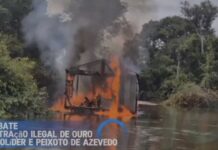 Vídeo: Operação Logging causa prejuízo de R$ 3,5 milhões ao garimpo ilegal em Mato Grosso