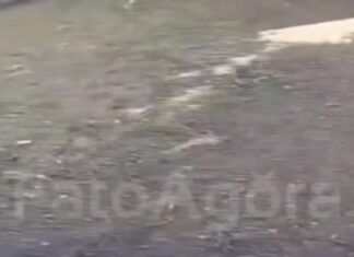 Vídeo: Erro burocrático atrasa remoção de corpo em Cuiabá