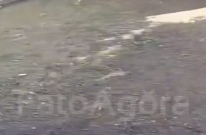 Screenshot_20260325_101117_Instagram