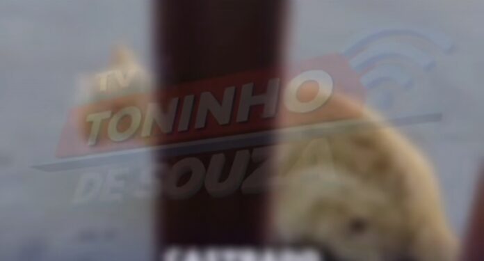 Screenshot_20260325_125553_Instagram