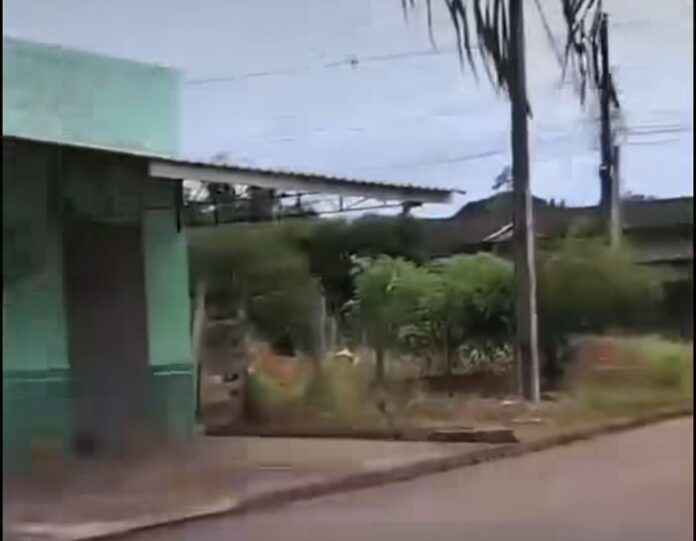 Screenshot_20260327_082914_Instagram