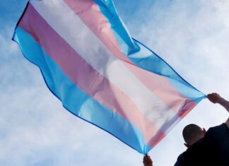 Direitos, saúde e cidadania: os desafios da população trans no acesso à igualdade no Brasil