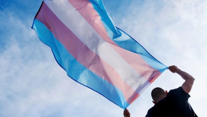 WhatsApp Image 2026-02-19 at 11.14.45