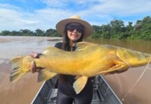 Presença feminina cresce e transforma cenário da pesca esportiva em Mato Grosso