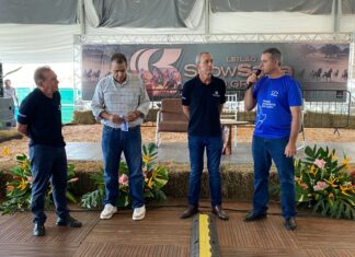 Sanidade, mercado e competitividade marcam Encontro Regional da Suinocultura no Show Safra