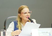 Câmara de Cuiabá aprova projeto de Paula Calil para combate à otite crônica infantil