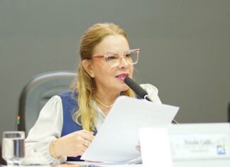 Câmara de Cuiabá aprova projeto de Paula Calil para combate à otite crônica infantil