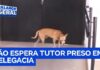 Veja Vídeo – Cachorro fica dia e noite em frente a distrito policial à espera do dono preso; veja