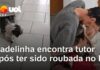 Veja Vídeo – Cadelinha reencontra tutor após sumir e ter sido roubada no Rio Grande do Sul; veja