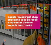 Veja Vídeo – Cadela ‘invade’ pet shop, abocanha saco de ração e foge antes de dona impedir ‘furto’