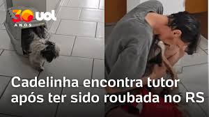 Veja Vídeo – Cadelinha reencontra tutor após sumir e ter sido roubada no Rio Grande do Sul; veja