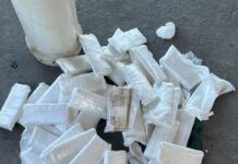 Polícia Civil desarticula organização criminosa em Tangará da Serra