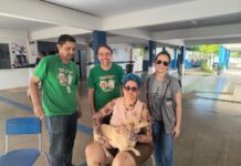 Cuiabá registra alta de 78% nos casos de Leishmaniose canina em 2026 e reforça prevenção