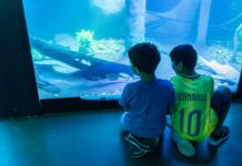 Aquário Municipal de Cuiabá oferece atendimento personalizado para grupos e crianças com TEA