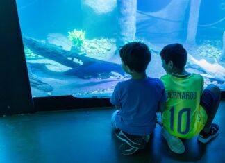 Aquário Municipal de Cuiabá oferece atendimento personalizado para grupos e crianças com TEA