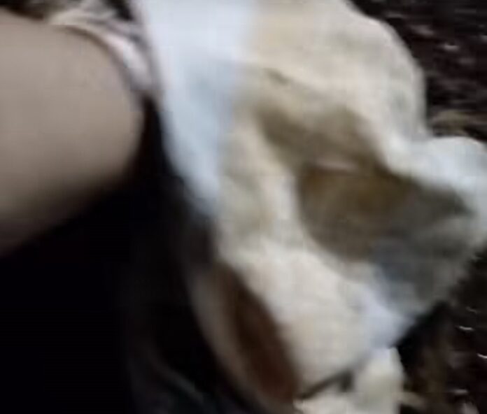 Screenshot_20260406_080835_Instagram