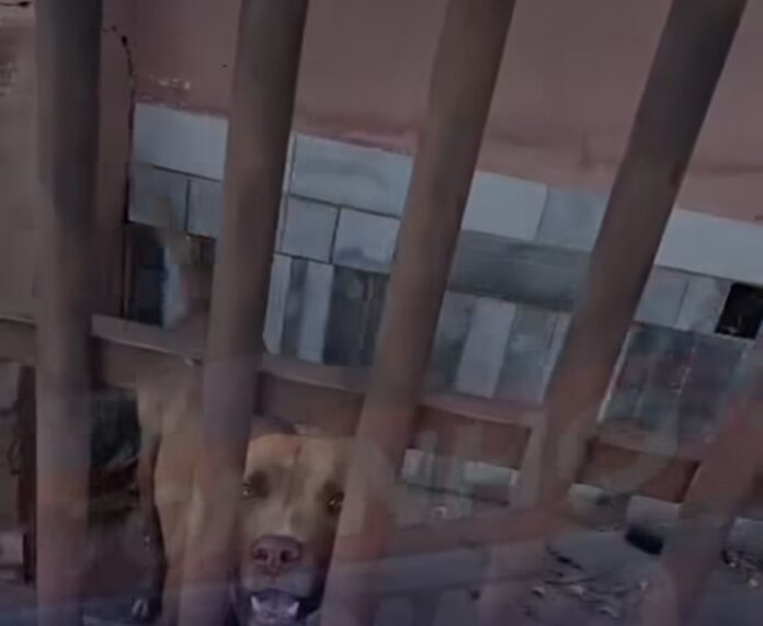 Screenshot_20260406_214637_Instagram