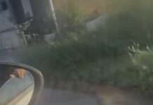 Vídeo: Vazamento e falta d’água afligem bairro em Várzea Grande