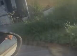 Vídeo: Vazamento e falta d’água afligem bairro em Várzea Grande