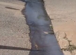 Vídeo: Morador denuncia mau cheiro de esgoto na Avenida Santa Cruz, em Cuiabá