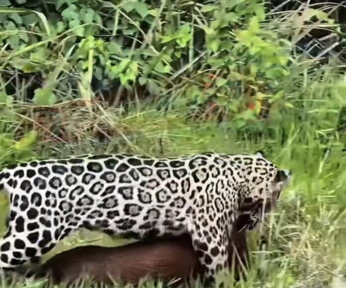 Screenshot_20260409_113611_Instagram