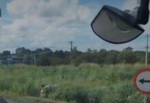 Vídeo: Tiroteio no Trevo do Lagarto, em Várzea Grande, envolve policiais e suspeitos na mata